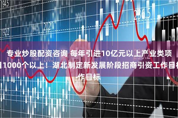 专业炒股配资咨询 每年引进10亿元以上产业类项目1000个以上！湖北制定新发展阶段招商引资工作目标