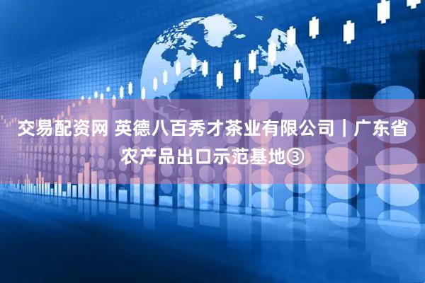 交易配资网 英德八百秀才茶业有限公司｜广东省农产品出口示范基地③