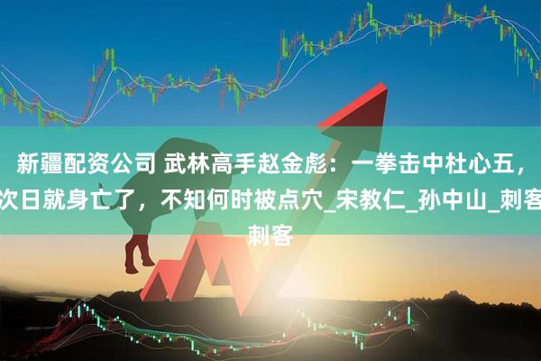 新疆配资公司 武林高手赵金彪：一拳击中杜心五，次日就身亡了，不知何时被点穴_宋教仁_孙中山_刺客
