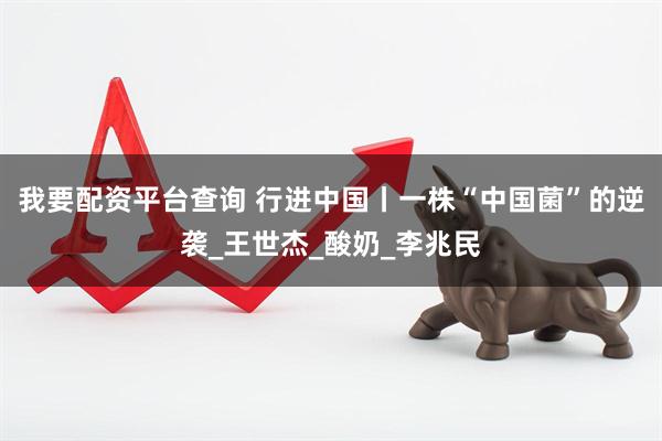 我要配资平台查询 行进中国丨一株“中国菌”的逆袭_王世杰_酸奶_李兆民