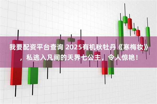 我要配资平台查询 2025有机秋牡丹《寒梅妆》,私逃入凡间的天界七公主,令人惊艳!